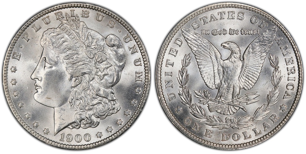 1900 VAM-16 Two Olives Morgan dollar close-up of ghost olive on eagle's branch reverse