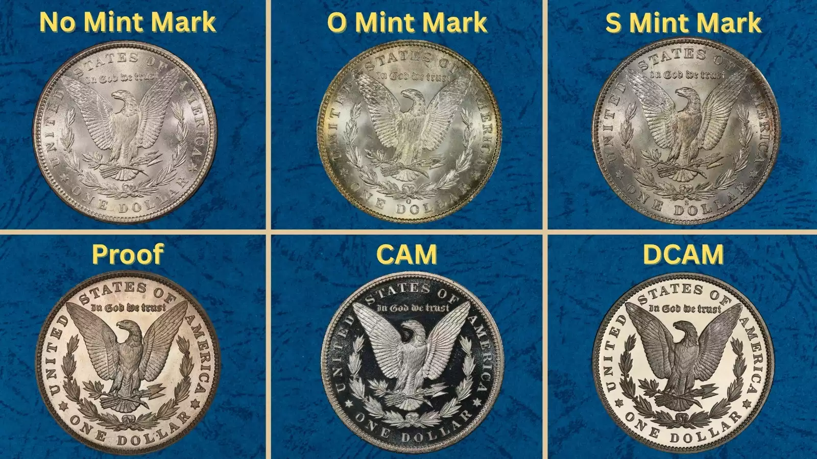 Historical group of 1900 Morgan silver dollars from Philadelphia, New Orleans and San Francisco mints